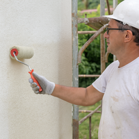 Rullo nylon poliammide verde con manico quarzi pitture minerali superfici ruvide *** misura 24 cm, confezione 1