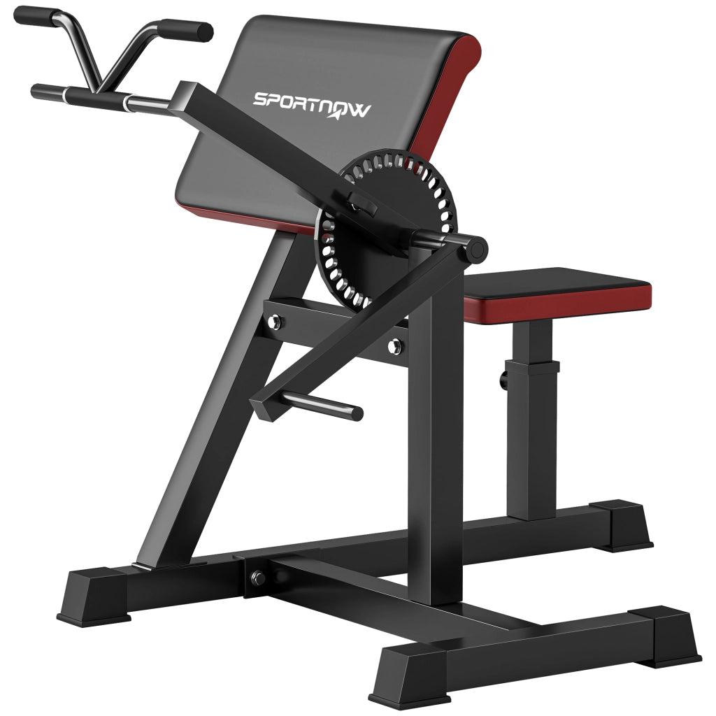 Panca Curl Predicatore Regolabile 2 in 1 ¨C Zephmum ¨C Con Sedile e Supporto Gomiti