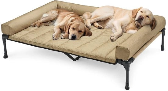 Letto Esterno per Cani Elevato, Letto per Cani Elevato con Cuscino Removibile, Letto per Cani Elevato con Ventilazione per Teslin Mesh per Casa e Giardino, Beige 150 x 95 x 22,5 cm