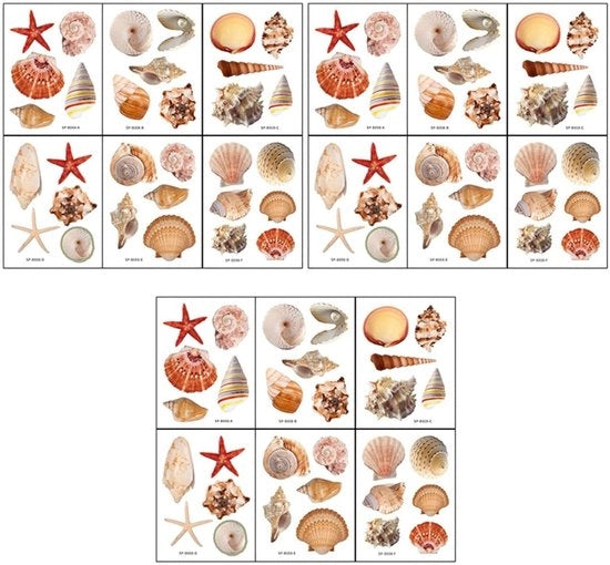 Stickere per pavimento da bagno con conchiglie antiscivolo 18 pezzi, applicazioni per bagno antiapplicazione, decorazione marina PVC antiscivolo, cintura per bambini