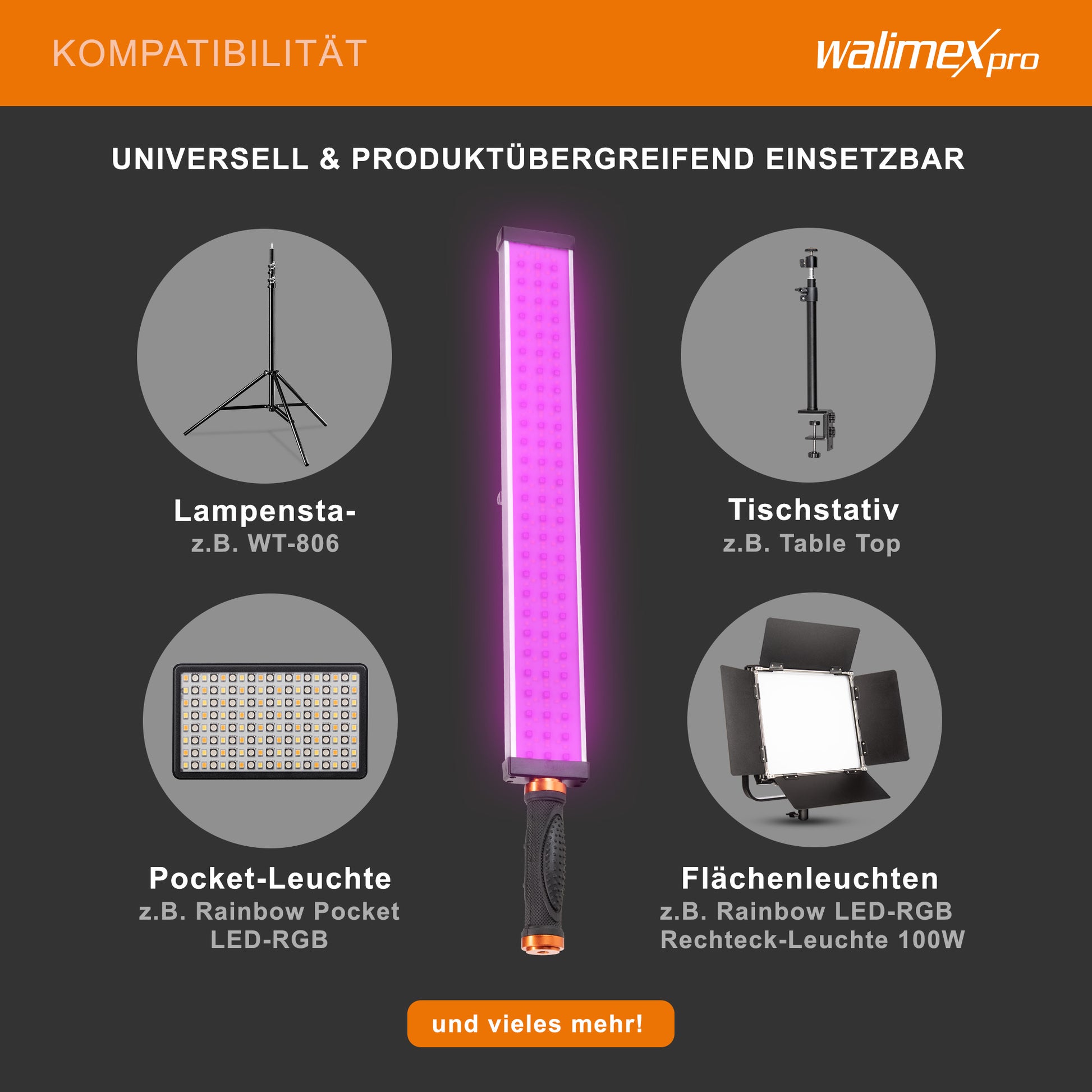 LED Rainbow RGB Stick 18W Set - composto da Rainbow LED RGB Stick, impugnatura, alimentatore, borsa per il trasporto e la conservazione, caricabatterie e 2 batterie