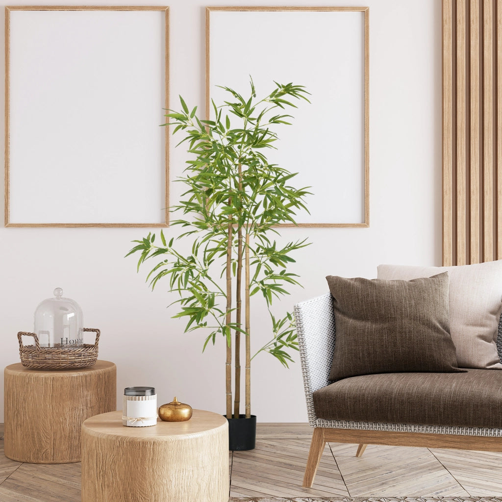 Pianta di Bamb¨´ Artificiale ¨C Xylo ¨C 180 cm con Vaso, Decorazione Realistica