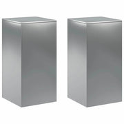 Supporto per piante 2 pcs Argento 40 x 40 x 80 cm Acciaio Inox 8012555