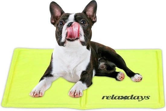 Matte per cani - 40 x 50 cm - gel - lavabile - per animali domestici - verde