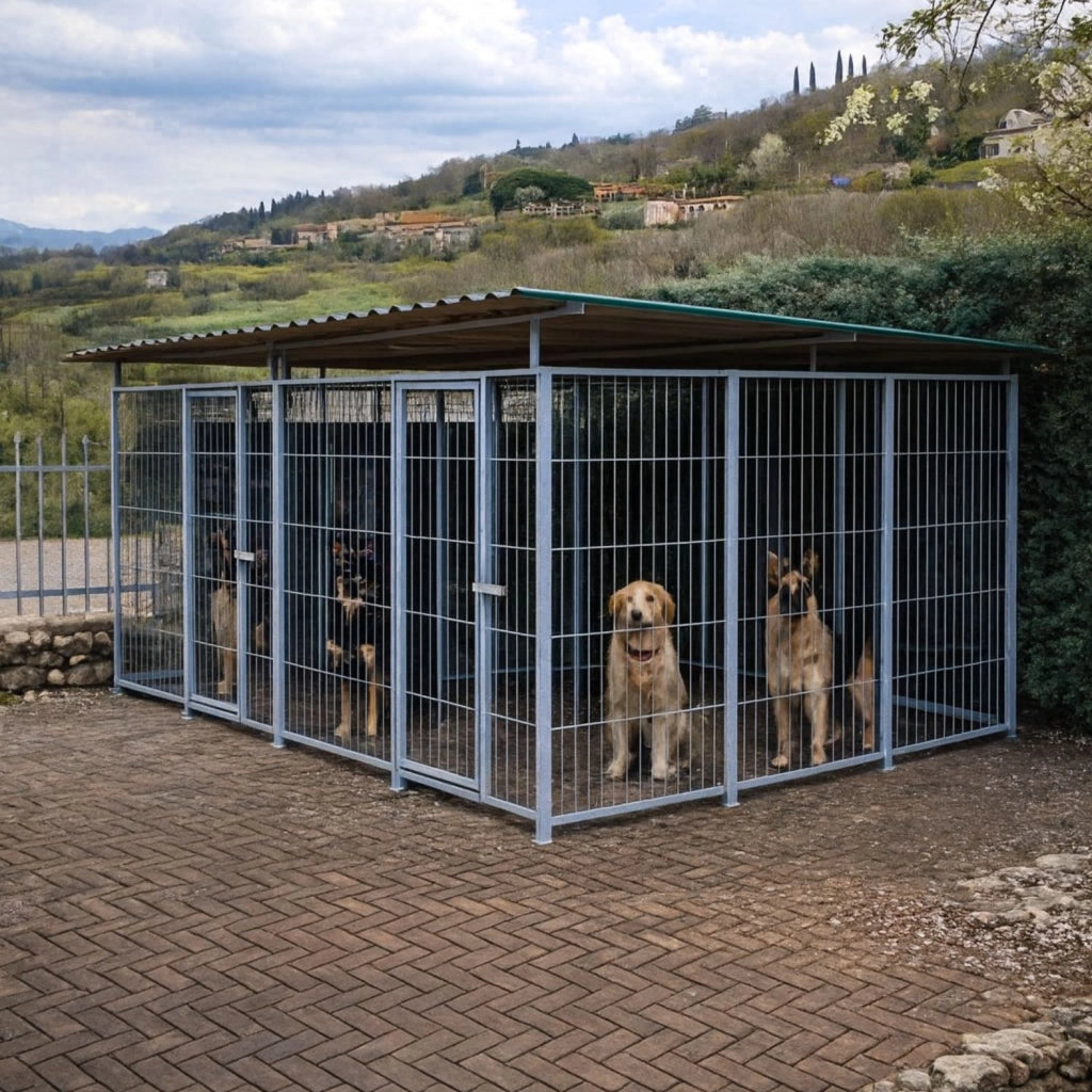 2 box per cani da esterno coperto con zincatura a caldo ciascuno da 300x200x altezza 180 cm