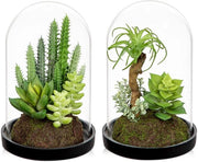 Due piante artificiali in vaso di vetro piccolo 15 cm piante artificiali in vaso di vetro decorazione per tavolo decorazioni per camera da letto e soggiorno