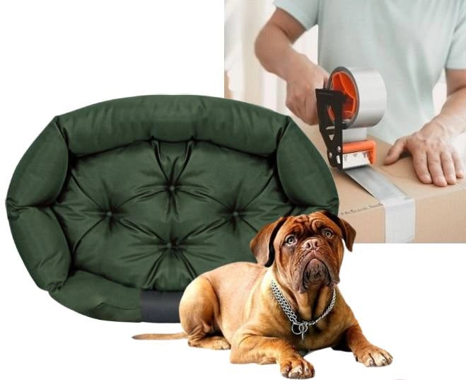 AIO FACTORY Cuccia per cani 75x50 cm personalizzabile impermeabile verde