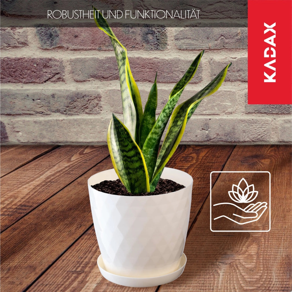 Vaso da fiori in plastica KADAX con supporto, coprivaso, 16 cm, crema, Kadax