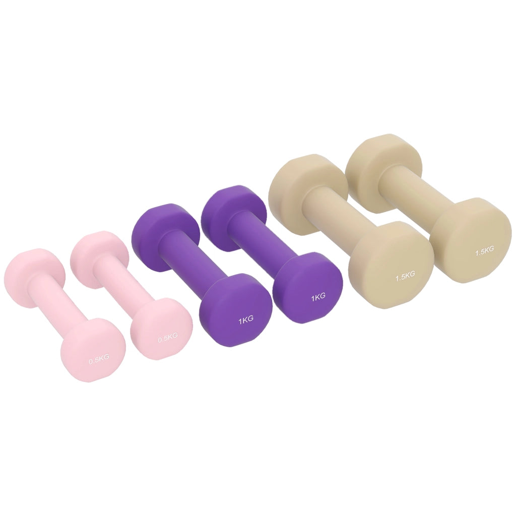 Set di Manubri Pesi Fitness da 6 kg con Impugnatura Antiscivolo e Valigetta, Multicolore
