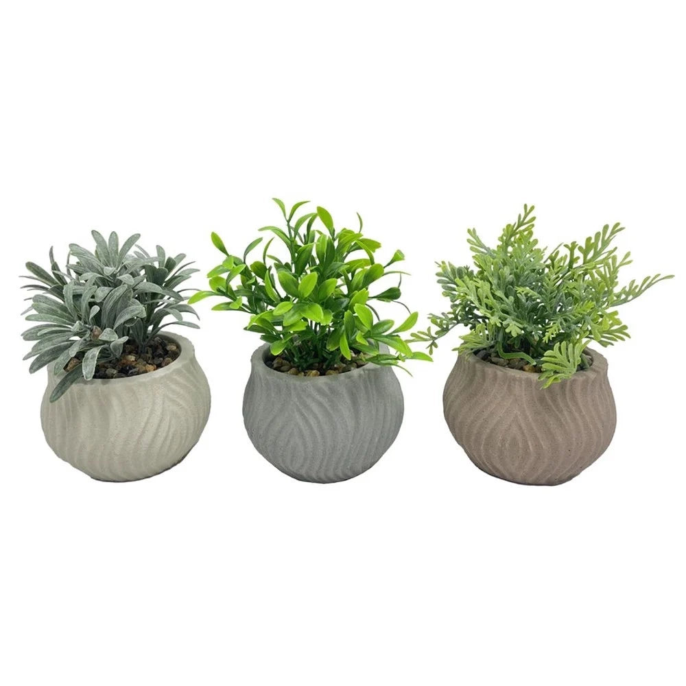 Trade Shop - Set 6pz Pianta Verde Finta Con Vaso In Ceramica Trama Ondulata 10x10x14cm 3 Colori 157961 -