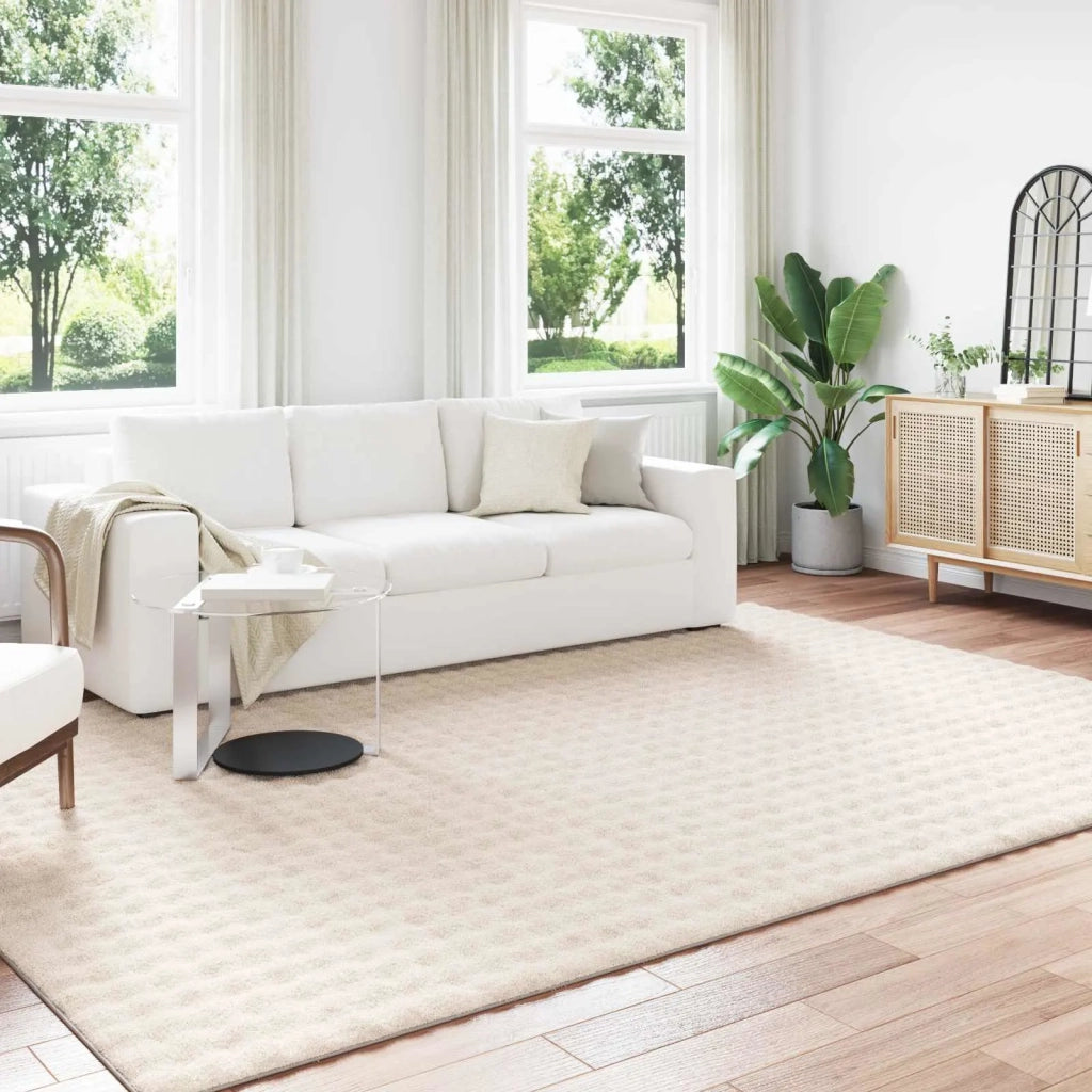 Tappeti per area SIROLO Beige 340 x 240 cm Poliestere