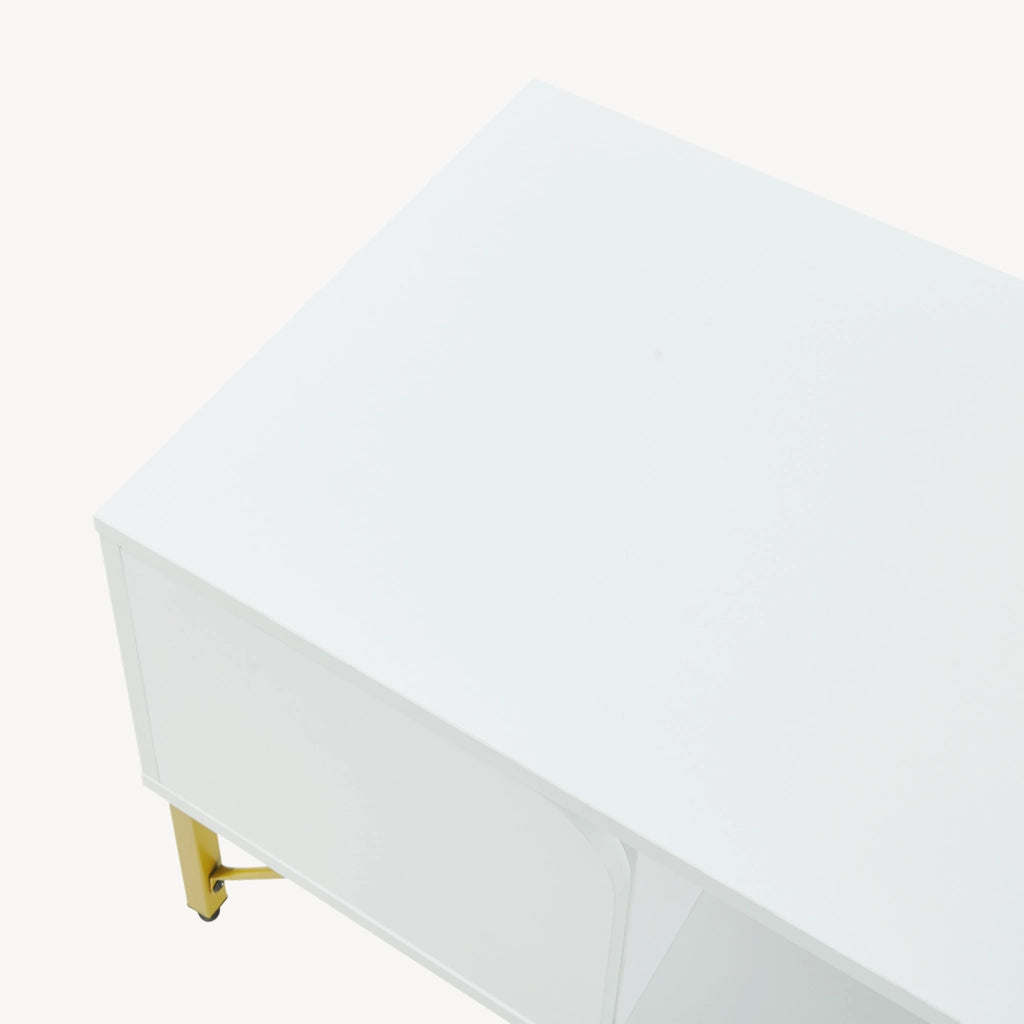 Tavolino Centrale da Salotto Reyri Tavolo Basso con Scomparti e Anta 80x45x42 cm Bianco / color Oro [en.casa]