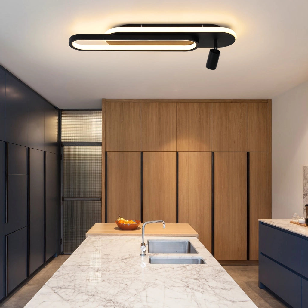 ZMH Lampada da soffitto plafoniera LED 46W nera dimmerabile con 1 faretto telecomando per soggiorno