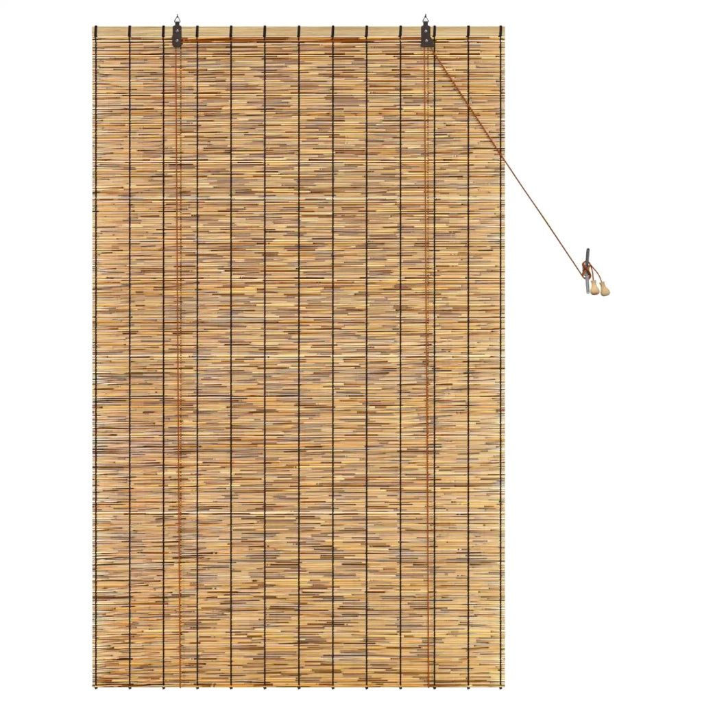Tenda a rullo Marrone 100 x 160 cm Giunco 42034655