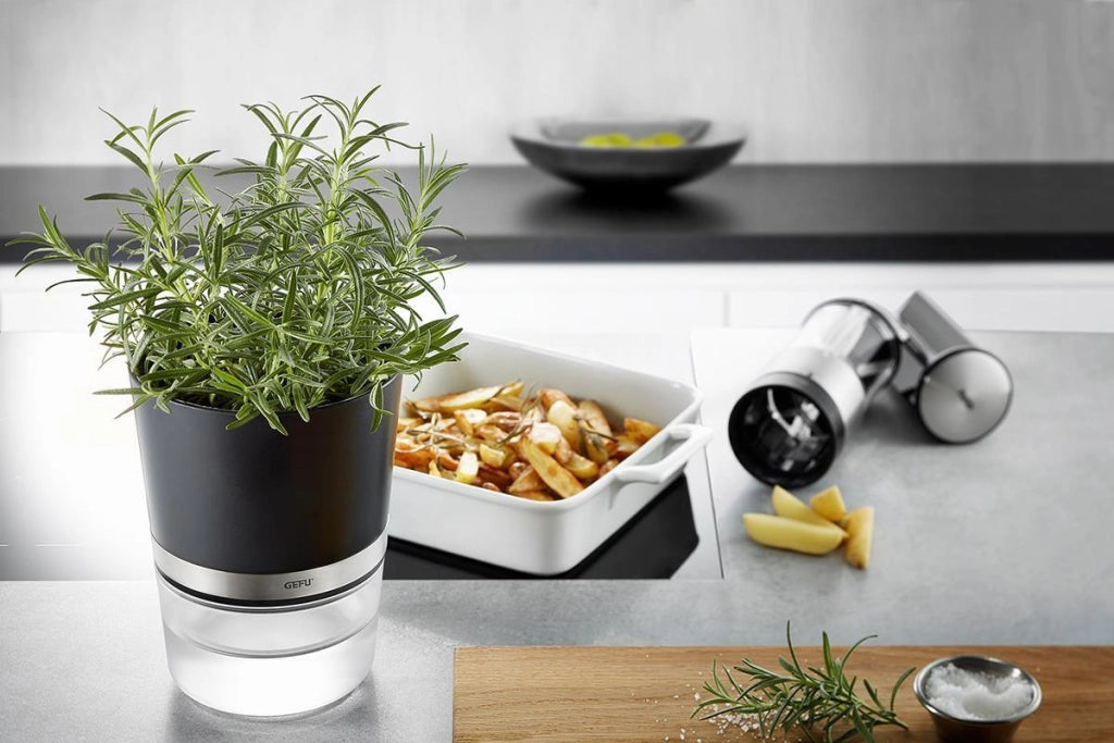 GEFU BOTANICO Vaso per erbe aromatiche Libera installazione Plastica, Acciaio inossidabile Nero