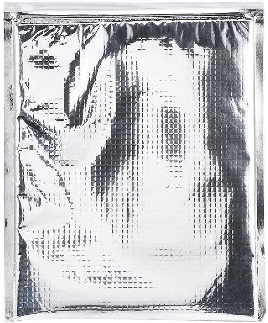 Borsa di Caricamento per Cibo - Isolamento Termico - 5 Pezzi/Set - Multifunzionale - Sicuro e Resistente - Disegno di Cerniera - Adatto per Picnic - Borsa per Cibi Caldi