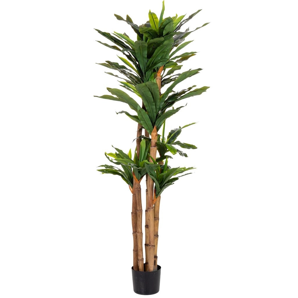 Pianta di dracena artificiale decorativa in vaso 40x30x150h cm