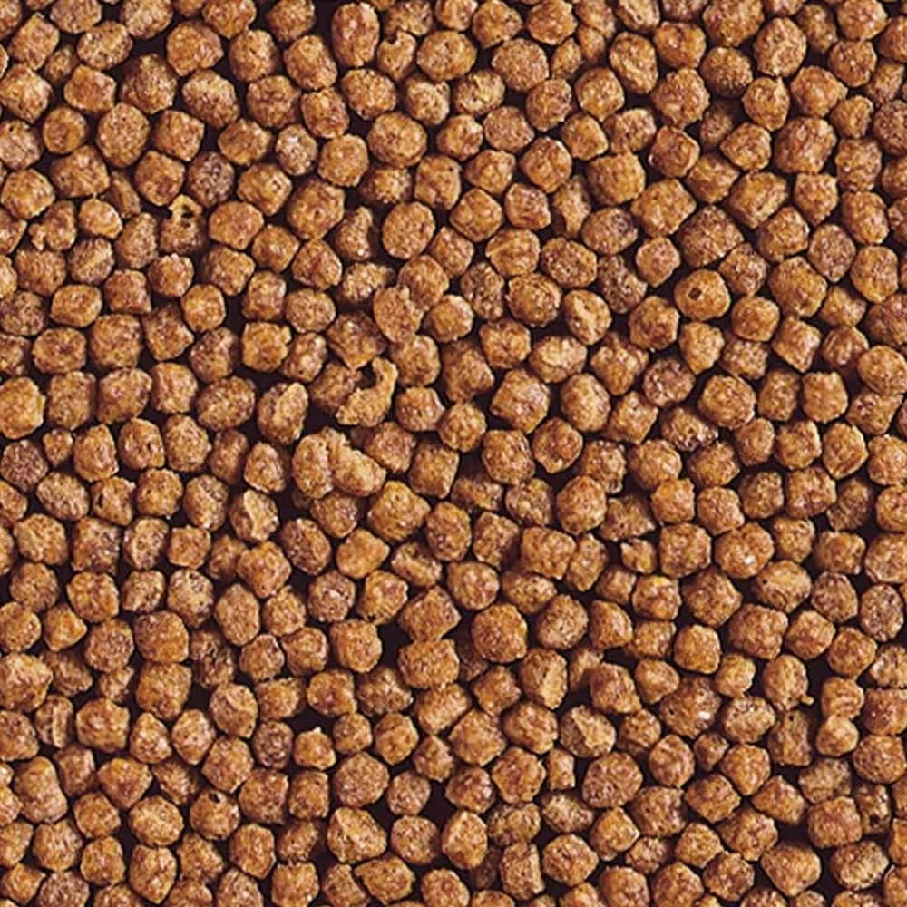Hikari Goldfish Gold Baby Pellet - mangime premium per pesci rossi e piccole carpe Koi Formato: 100 gr