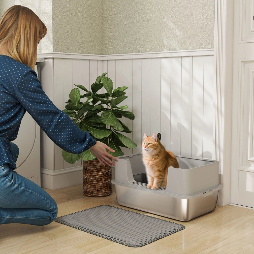 Casetta per gatti con lettiera ¨C zephmum ¨C 60.2x40.2x29.5 cm grigio