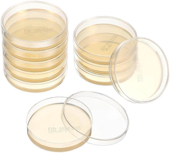 Petrischaletti in agar 10 pezzi - Piastre per analisi laboratorio - Dimensioni 7x7 cm