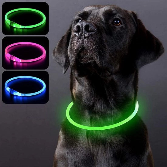 Cani luce – Cintura per cani con luce – Lampada per cani - Lasciare uscire il cane – Lampada per cani con batteria 3V LR44, 2 x LED, 2 x batterie inclusi