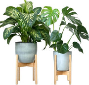 Set di 2 Standi per Piante in Legno Flessibile | Fusto in Bambù Sostenibile | Adatto per Vasi di Ø 20-30 cm. | Vaso e Pianta non Inclusi