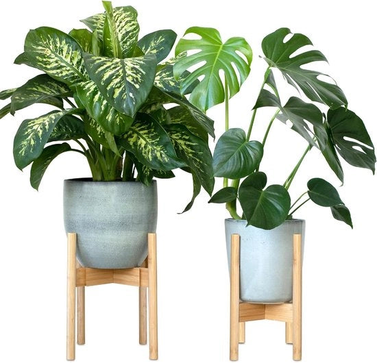 Set di 2 Standi per Piante in Legno Flessibile | Fusto in Bambù Sostenibile | Adatto per Vasi di Ø 20-30 cm. | Vaso e Pianta non Inclusi