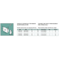 Facchinetti serratura zincata 60mm a spingere destra per portoncino da applicare