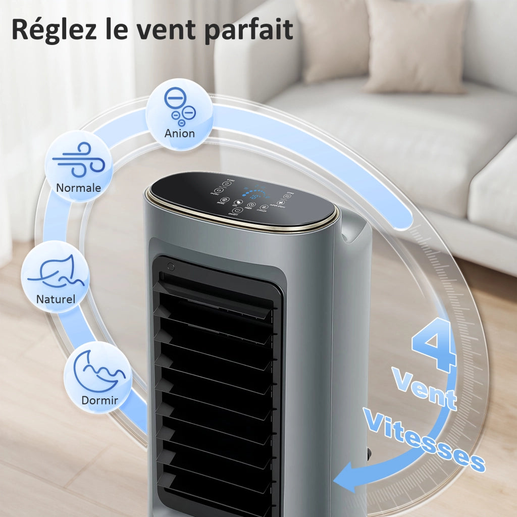 Climatizzatore portatile 4 in 1 umidificatore purificatore ventilatore ¨C zephmum ¨C grigio