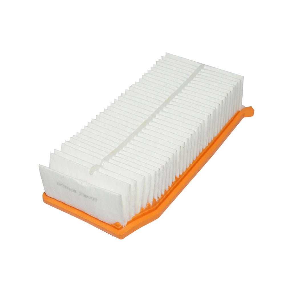 Filtro aria con baffi Dacia Logan II, Sandero II 0.9 Tce, 1.5dCi, Dokker, Duster, Lodgy 1.2, 1.5dCi 165467674R