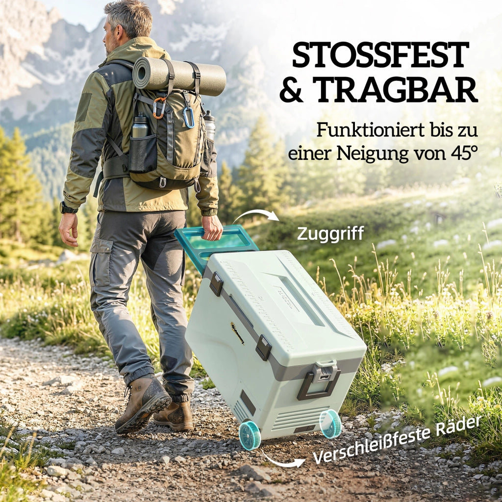Frigo Portatile Elettrico 42,5L con Bluetooth ¨C Zephmum ¨C Grigio 45x35x45 cm
