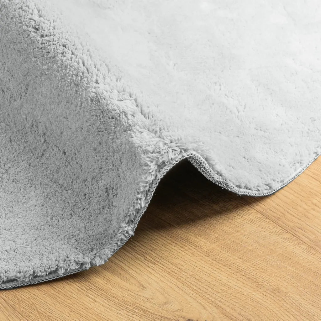 Tappeto del soggiorno | Tappeto a Pelo Corto HUARTE Morbido e Lavabile Grigio ? 100 cm