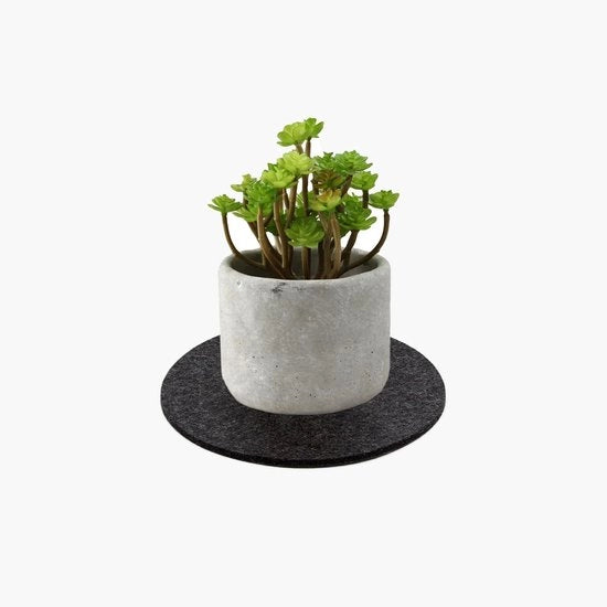Sostegni in Velluto per Vetrini - 10 Pezzi - Sostegni in Velluto - Sostegni Nero/Grigio - Resistente al Calore - Materiale Amichevole con l'Ambiente