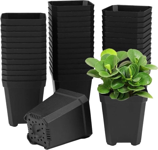 100 pezzi di contenitori di coltivazione in plastica rettangolari da 5 cm con fondo forato