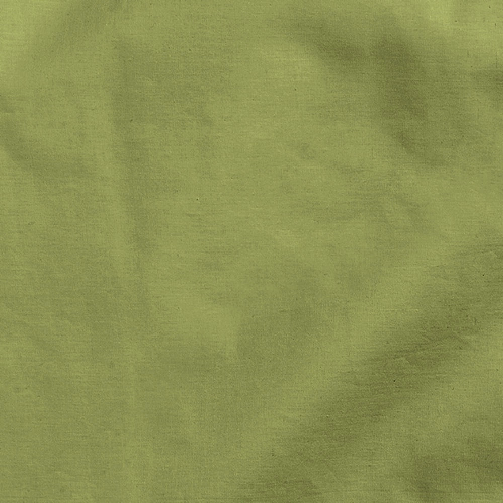 Lenzuolo letto sotto con angoli 100% puro cotone Made in Italy tinta unita Verde exotic - 1 Piazza