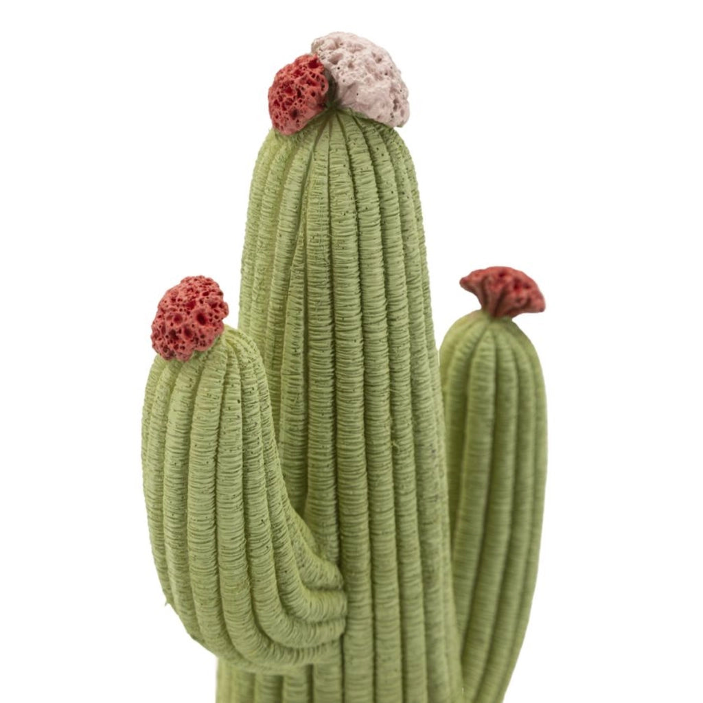 Scultura Cactus 1, Multicolore, Poliresina, 13x7x25 cm