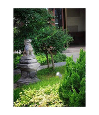 Faretto Con Picchetto Per Esterno Da Giardino Con Staffa Parete Proiettore Es12         