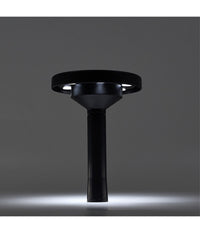 Faretto Led Cct 3 Tonalità  Di Colore Solare Ricaricabile Impermeabile Ip65 Fy-3c         