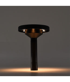 Faretto Led Cct 3 Tonalità  Di Colore Solare Ricaricabile Impermeabile Ip65 Fy-3c         