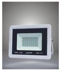 Faretto Led Esterno Bianco Luce Naturale Calda Fredda 30w Antipioggia F30w-b1         