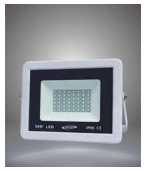 Faretto Led Esterno Bianco Luce Naturale Calda Fredda 30w Antipioggia F30w-b1  -bianco Naturale      -