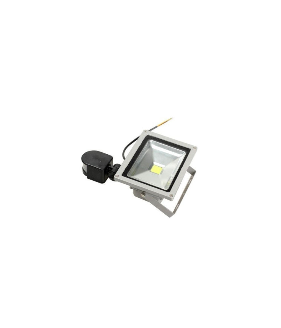 Faro Da 20w Con Sensore Di Movimento Faretto A Led Luce Bianca 220v         