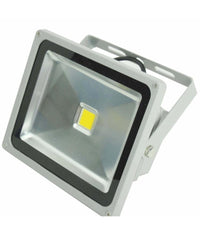 Faro Faretto A Led Ultra Slim A Luce Calda Fredda Rgb Da Per Esterno Ip65 220v  -rgb-20 Watt -regular    -