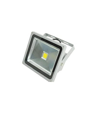 Faro Proiettore A Led Ad Alta Luminosità  Da 30w Per Esterno Interno Luce Fredda         