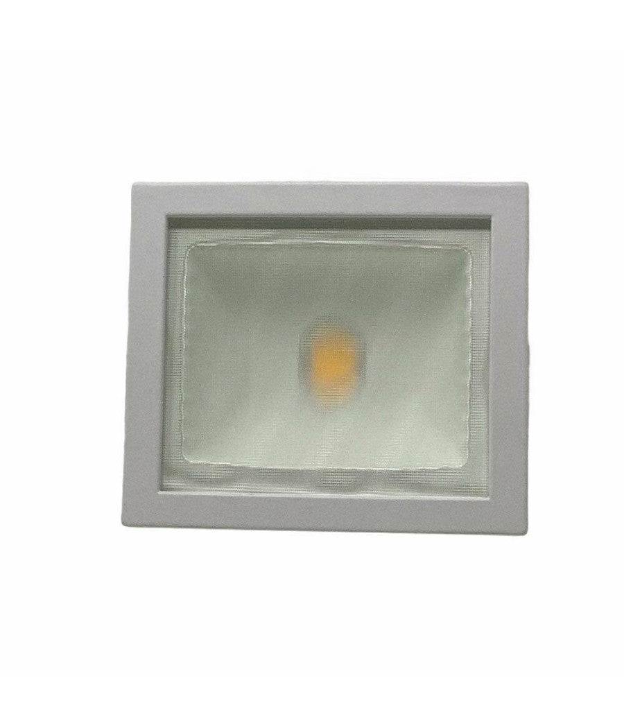 Faro Proiettore Orientabile 30w Luce 6500k 4000k Faretto Led Cob Binario F30w-6a         