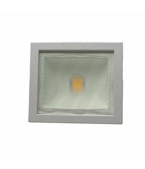 Faro Proiettore Orientabile 30w Luce 6500k 4000k Faretto Led Cob Binario F30w-6a         
