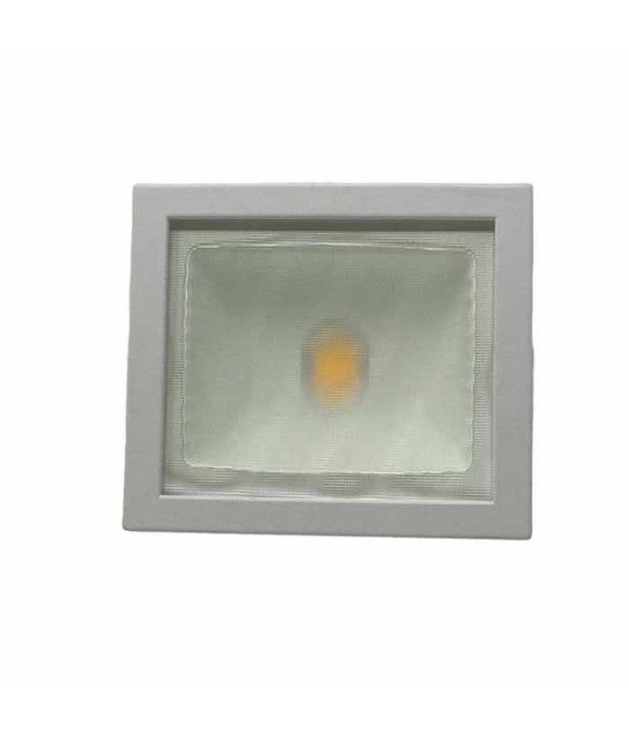 Faro Proiettore Orientabile 30w Luce 6500k 4000k Faretto Led Cob Binario F30w-6a         