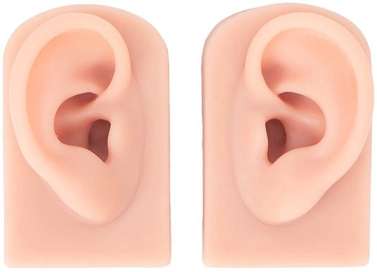 Modello Zoppa Silicone - 2 Pezzi - Strumento di Acupressione - Piercing - Attrezzo per Allenamento - Pulito e Facile da Pulire - Addestramento Orale