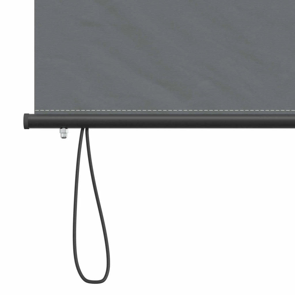 Tenda a rullo Grigio Chiaro 120 x 250 cm Tessuto e Alluminio 42037184