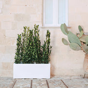 Vaso fioriera in resina rettangolare 40x100 Grigio mod. Matera